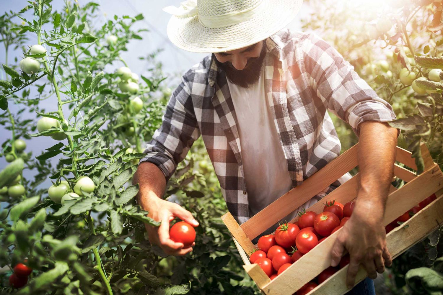 uag-17-09-20-uag-hub-agroalimentario--1-