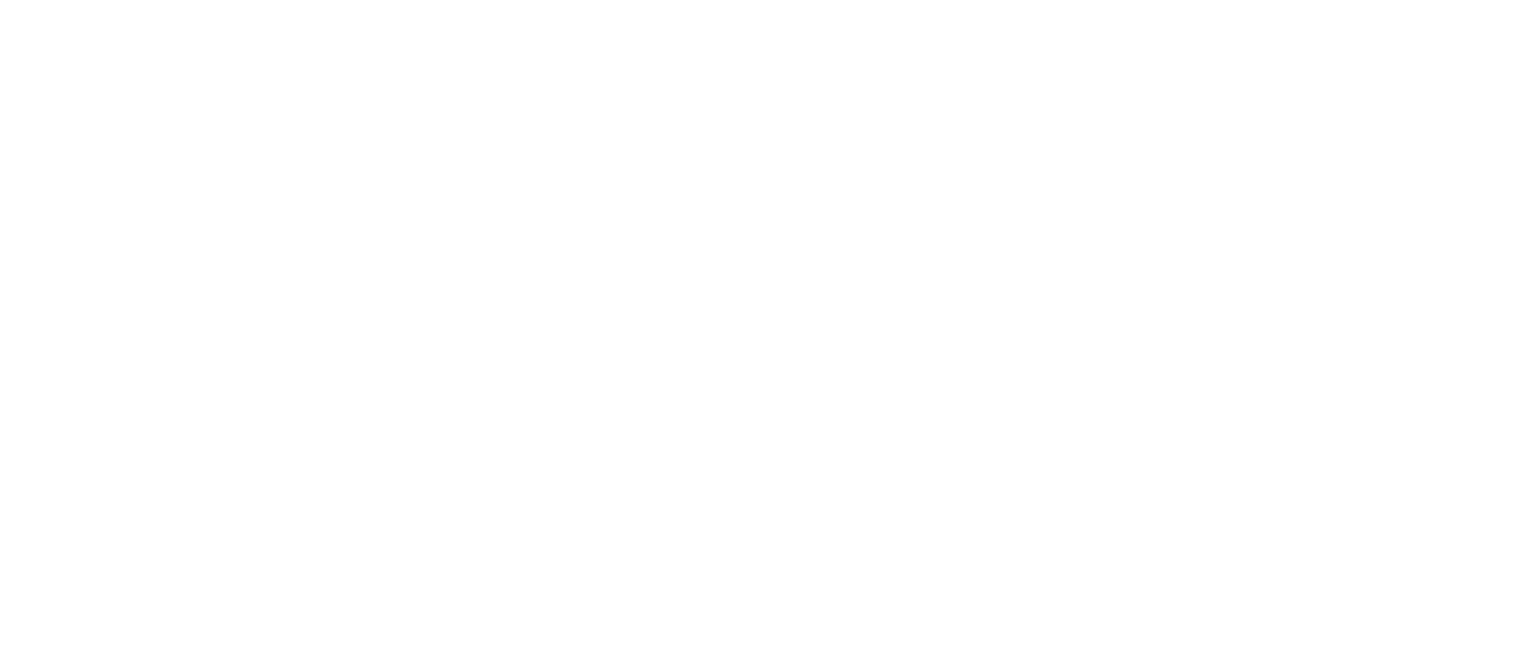 logo_mindset (1)-2